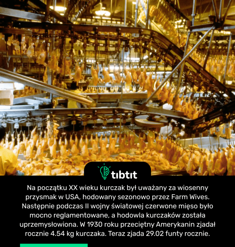 Na początku XX wieku kurczak był uważany za wiosenny przysmak w USA, hodowany sezonowo przez Farm Wives. Następnie podczas II wojny światowej czerwone mięso było mocno reglamentowane, a hodowla kurczaków została uprzemysłowiona. W 1930 roku przeciętny Amerykanin zjadał rocznie 4.54 kg kurczaka. Teraz zjada 29.02 funty rocznie.