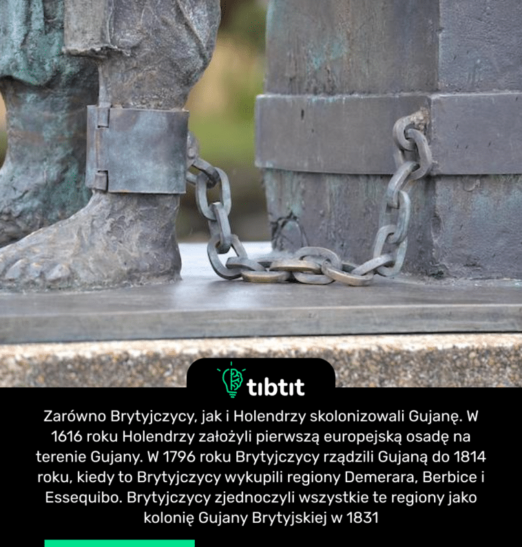 Zarówno Brytyjczycy, jak i Holendrzy skolonizowali Gujanę. W 1616 roku Holendrzy założyli pierwszą europejską osadę na terenie Gujany. W 1796 roku Brytyjczycy rządzili Gujaną do 1814 roku, kiedy to Brytyjczycy wykupili regiony Demerara, Berbice i Essequibo. Brytyjczycy zjednoczyli wszystkie te regiony jako kolonię Gujany Brytyjskiej w 1831