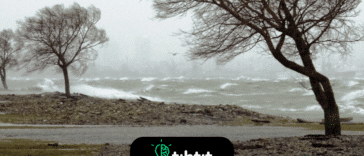 Wiatry mają cienie. Mówi się, że wiatru nie widać, można go tylko poczuć - jednak w rzeczywistości nie jest to prawda. Wiatr może rzucać cienie, są one po prostu niewidoczne gołym okiem i muszą być przetwarzane maszynowo.