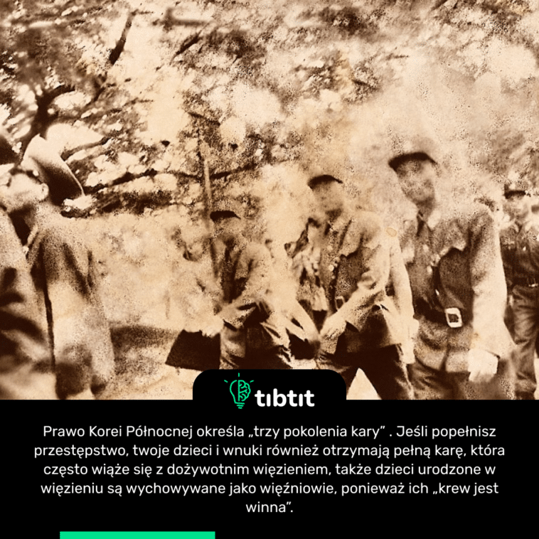 Prawo Korei Północnej określa „trzy pokolenia kary” . Jeśli popełnisz przestępstwo, twoje dzieci i wnuki również otrzymają pełną karę, która często wiąże się z dożywotnim więzieniem, także dzieci urodzone w więzieniu są wychowywane jako więźniowie, ponieważ ich „krew jest winna”.