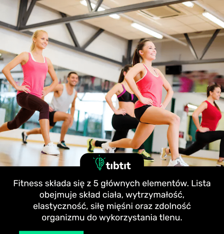 Fitness składa się z 5 głównych elementów. Lista obejmuje skład ciała, wytrzymałość, elastyczność, siłę mięśni oraz zdolność organizmu do wykorzystania tlenu.