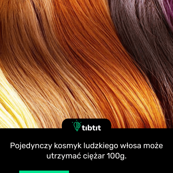 Pojedynczy kosmyk ludzkiego włosa może utrzymać ciężar 100g.