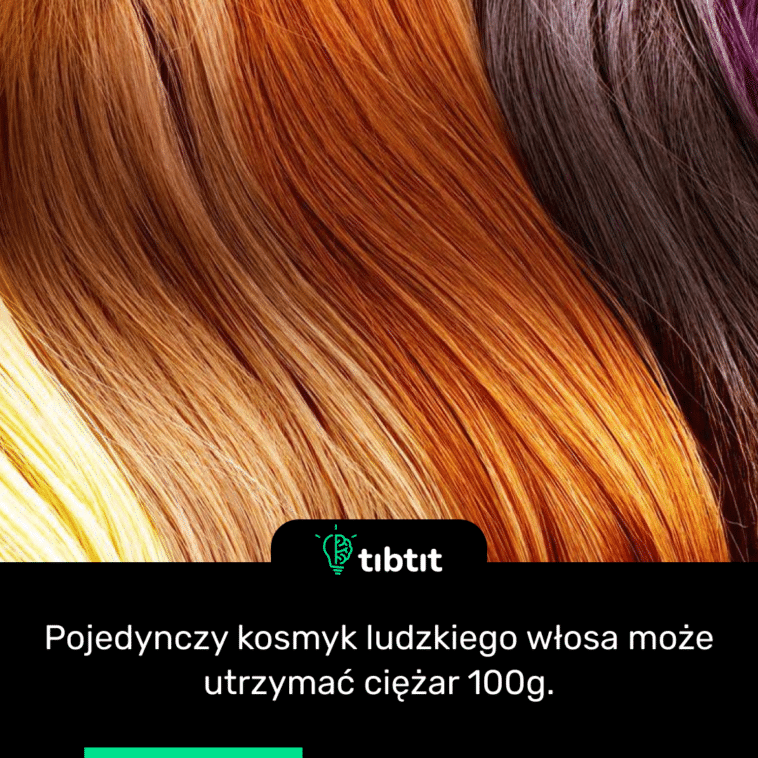 Pojedynczy kosmyk ludzkiego włosa może utrzymać ciężar 100g.