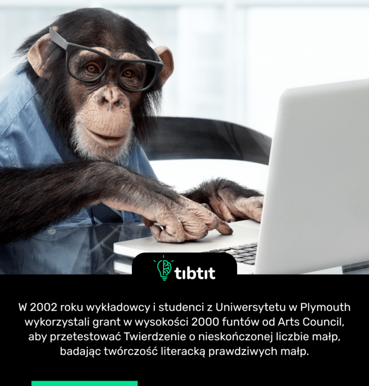 W 2002 roku wykładowcy i studenci z Uniwersytetu w Plymouth wykorzystali grant w wysokości 2000 funtów od Arts Council, aby przetestować Twierdzenie o nieskończonej liczbie małp, badając twórczość literacką prawdziwych małp.