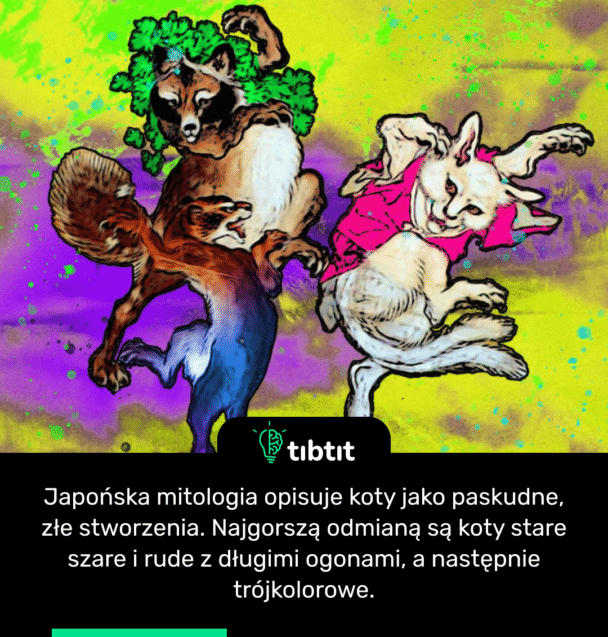 Japońska mitologia opisuje koty jako paskudne, złe stworzenia. Najgorszą odmianą są koty stare szare i rude z długimi ogonami, a następnie trójkolorowe.