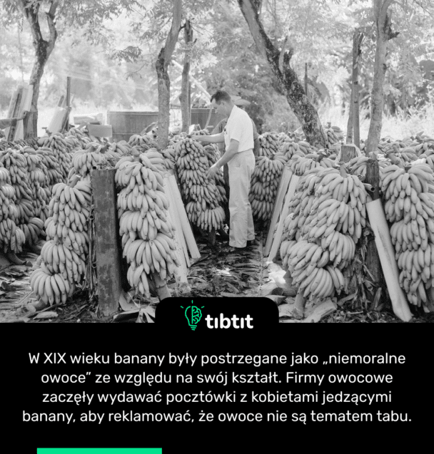 W XIX wieku banany były postrzegane jako „niemoralne owoce” ze względu na swój kształt. Firmy owocowe zaczęły wydawać pocztówki z kobietami jedzącymi banany, aby reklamować, że owoce nie są tematem tabu.