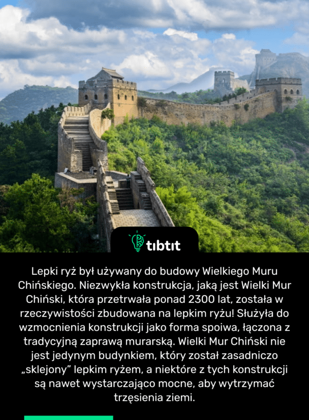 Lepki ryż był używany do budowy Wielkiego Muru Chińskiego. Niezwykła konstrukcja, jaką jest Wielki Mur Chiński, która przetrwała ponad 2300 lat, została w rzeczywistości zbudowana na lepkim ryżu! Służyła do wzmocnienia konstrukcji jako forma spoiwa, łączona z tradycyjną zaprawą murarską. Wielki Mur Chiński nie jest jedynym budynkiem, który został zasadniczo „sklejony” lepkim ryżem, a niektóre z tych konstrukcji są nawet wystarczająco mocne, aby wytrzymać trzęsienia ziemi.