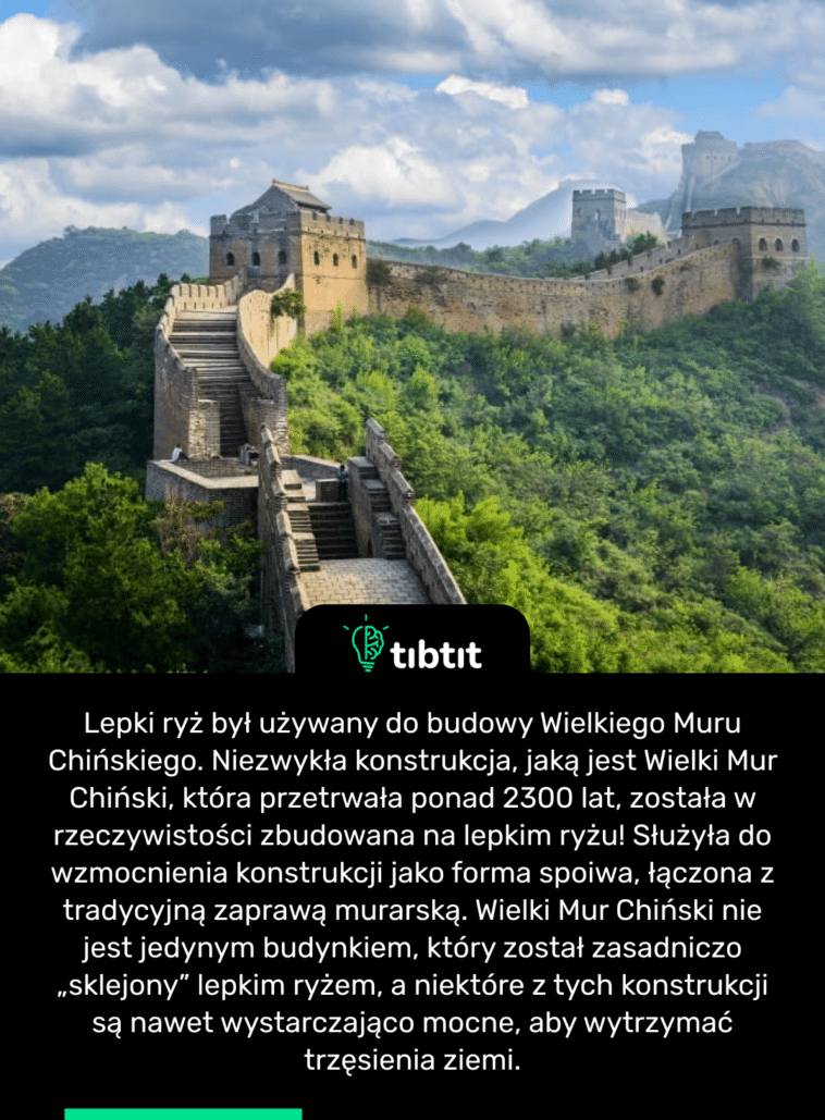 Lepki ryż był używany do budowy Wielkiego Muru Chińskiego. Niezwykła konstrukcja, jaką jest Wielki Mur Chiński, która przetrwała ponad 2300 lat, została w rzeczywistości zbudowana na lepkim ryżu! Służyła do wzmocnienia konstrukcji jako forma spoiwa, łączona z tradycyjną zaprawą murarską. Wielki Mur Chiński nie jest jedynym budynkiem, który został zasadniczo „sklejony” lepkim ryżem, a niektóre z tych konstrukcji są nawet wystarczająco mocne, aby wytrzymać trzęsienia ziemi.