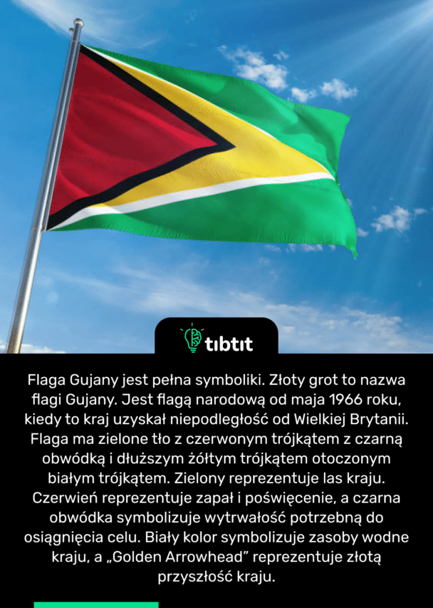Flaga Gujany jest pełna symboliki. Złoty grot to nazwa flagi Gujany. Jest flagą narodową od maja 1966 roku, kiedy to kraj uzyskał niepodległość od Wielkiej Brytanii. Flaga ma zielone tło z czerwonym trójkątem z czarną obwódką i dłuższym żółtym trójkątem otoczonym białym trójkątem. Zielony reprezentuje las kraju. Czerwień reprezentuje zapał i poświęcenie, a czarna obwódka symbolizuje wytrwałość potrzebną do osiągnięcia celu. Biały kolor symbolizuje zasoby wodne kraju, a „Golden Arrowhead” reprezentuje złotą przyszłość kraju.
