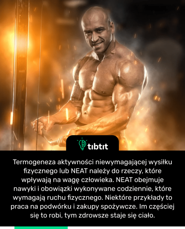 Termogeneza aktywności niewymagającej wysiłku fizycznego lub NEAT należy do rzeczy, które wpływają na wagę człowieka. NEAT obejmuje nawyki i obowiązki wykonywane codziennie, które wymagają ruchu fizycznego. Niektóre przykłady to praca na podwórku i zakupy spożywcze. Im częściej się to robi, tym zdrowsze staje się ciało.