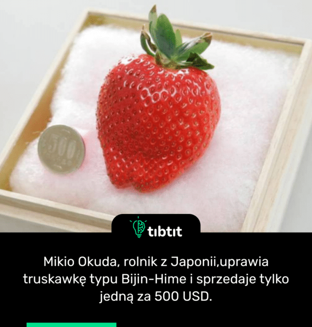 Mikio Okuda, rolnik z Japonii,uprawia truskawkę typu Bijin-Hime i sprzedaje tylko jedną za 500 USD.