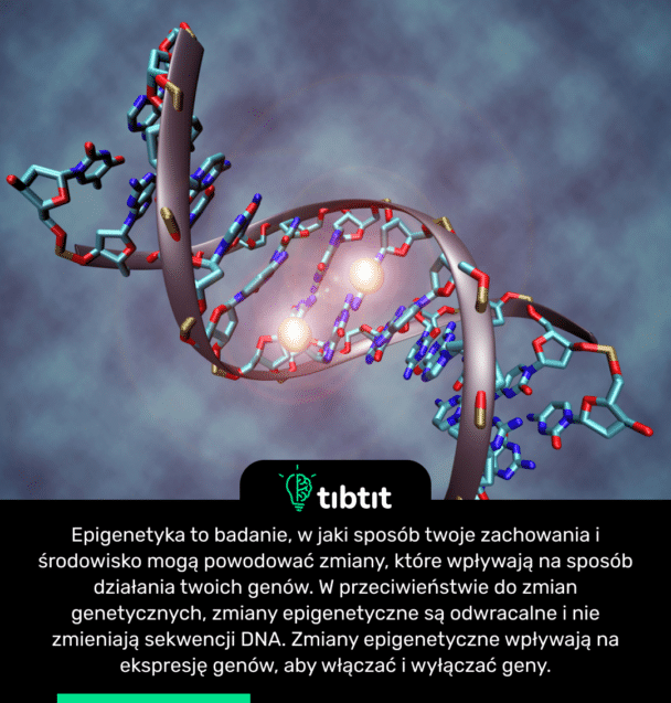 Epigenetyka to badanie, w jaki sposób twoje zachowania i środowisko mogą powodować zmiany, które wpływają na sposób działania twoich genów. W przeciwieństwie do zmian genetycznych, zmiany epigenetyczne są odwracalne i nie zmieniają sekwencji DNA. Zmiany epigenetyczne wpływają na ekspresję genów, aby włączać i wyłączać geny.