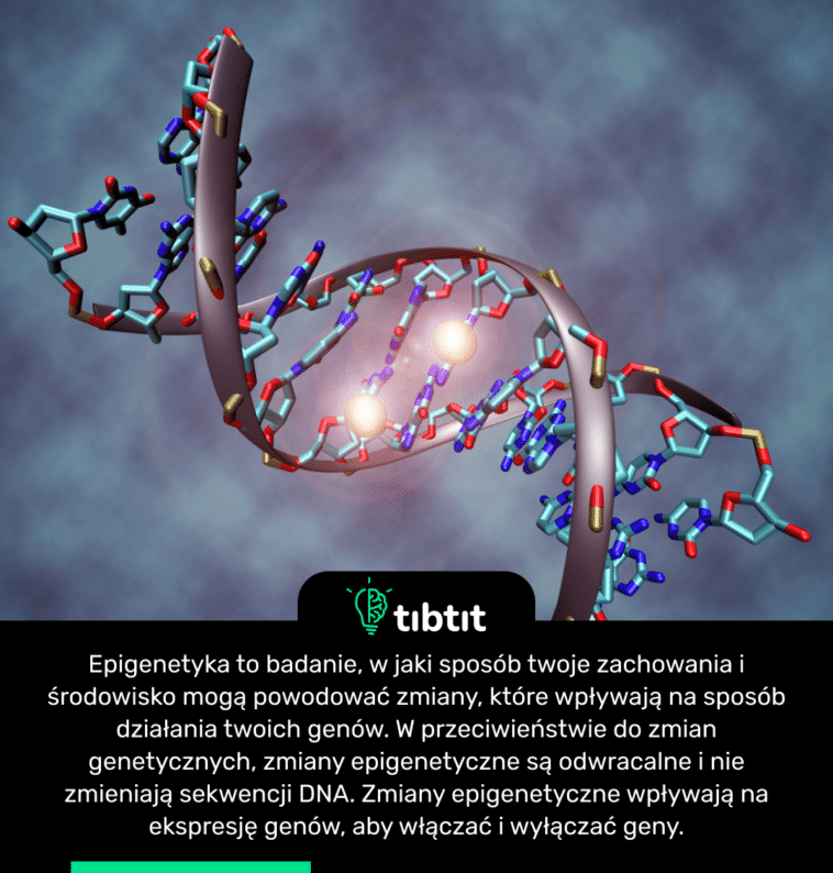 Epigenetyka to badanie, w jaki sposób twoje zachowania i środowisko mogą powodować zmiany, które wpływają na sposób działania twoich genów. W przeciwieństwie do zmian genetycznych, zmiany epigenetyczne są odwracalne i nie zmieniają sekwencji DNA. Zmiany epigenetyczne wpływają na ekspresję genów, aby włączać i wyłączać geny.