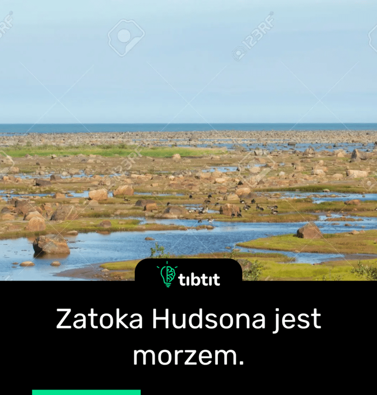 Zatoka Hudsona jest morzem.