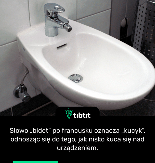 Słowo „bidet” po francusku oznacza „kucyk”, odnosząc się do tego, jak nisko kuca się nad urządzeniem.