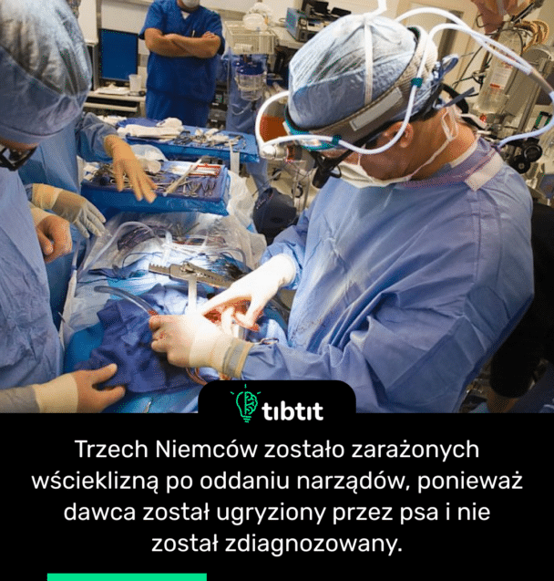 Trzech Niemców zostało zarażonych wścieklizną po oddaniu narządów, ponieważ dawca został ugryziony przez psa i nie został zdiagnozowany.