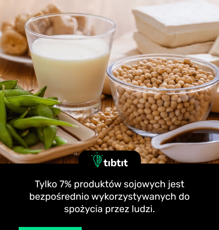 Tylko 7% produktów sojowych jest bezpośrednio wykorzystywanych do spożycia przez ludzi.