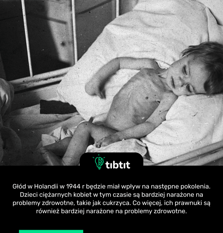 Głód w Holandii w 1944 r będzie miał wpływ na następne pokolenia. Dzieci ciężarnych kobiet w tym czasie są bardziej narażone na problemy zdrowotne, takie jak cukrzyca. Co więcej, ich prawnuki są również bardziej narażone na problemy zdrowotne.