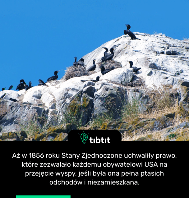 Aż w 1856 roku Stany Zjednoczone uchwaliły prawo, które zezwalało każdemu obywatelowi USA na przejęcie wyspy, jeśli była ona pełna ptasich odchodów i niezamieszkana.