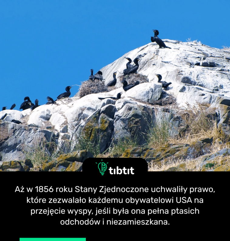 Aż w 1856 roku Stany Zjednoczone uchwaliły prawo, które zezwalało każdemu obywatelowi USA na przejęcie wyspy, jeśli była ona pełna ptasich odchodów i niezamieszkana.