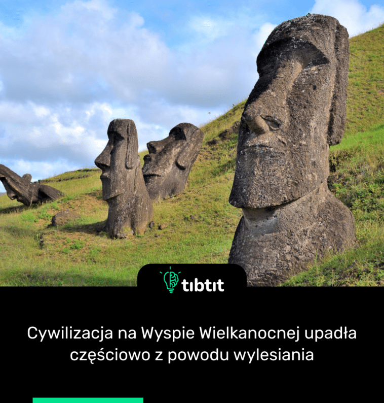 Cywilizacja na Wyspie Wielkanocnej upadła częściowo z powodu wylesiania