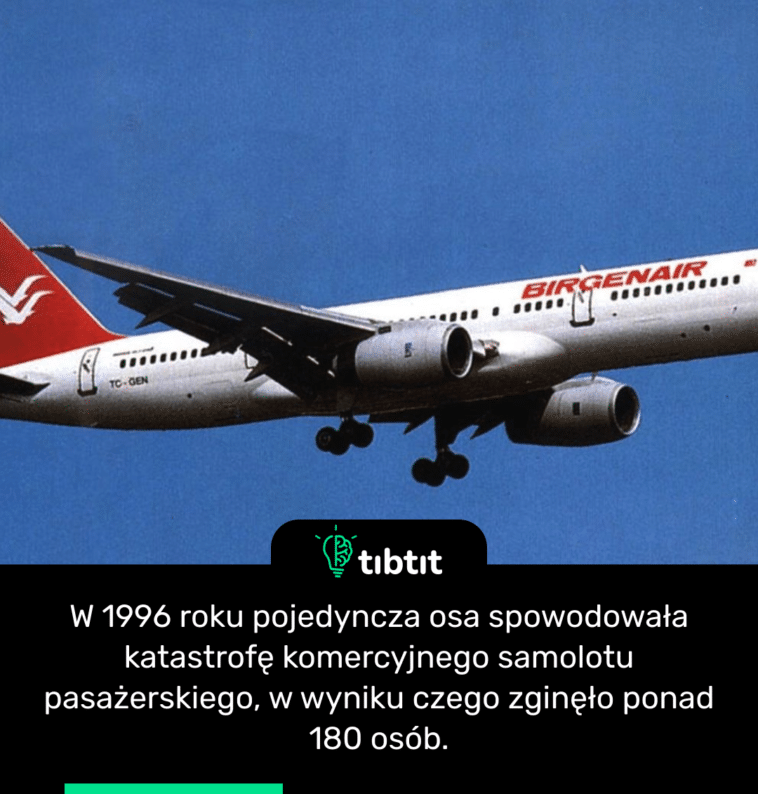 W 1996 roku pojedyncza osa spowodowała katastrofę komercyjnego samolotu pasażerskiego, w wyniku czego zginęło ponad 180 osób.
