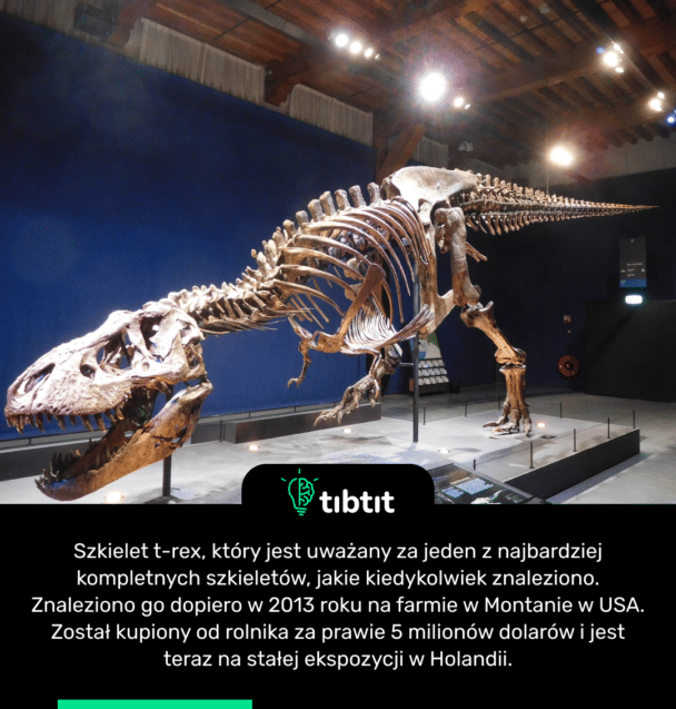 Szkielet t-rex, który jest uważany za jeden z najbardziej kompletnych szkieletów, jakie kiedykolwiek znaleziono. Znaleziono go dopiero w 2013 roku na farmie w Montanie w USA. Został kupiony od rolnika za prawie 5 milionów dolarów i jest teraz na stałej ekspozycji w Holandii.