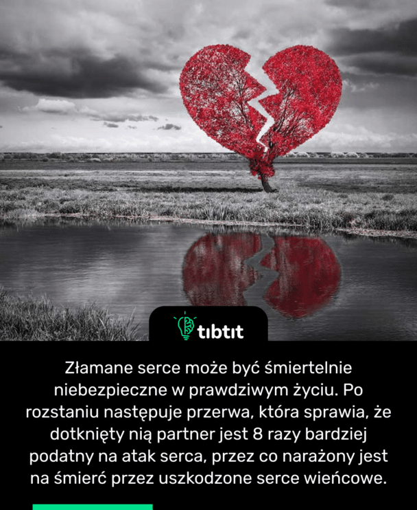 Złamane serce może być śmiertelnie niebezpieczne w prawdziwym życiu. Po rozstaniu następuje przerwa, która sprawia, że dotknięty nią partner jest 8 razy bardziej podatny na atak serca, przez co narażony jest na śmierć przez uszkodzone serce wieńcowe.