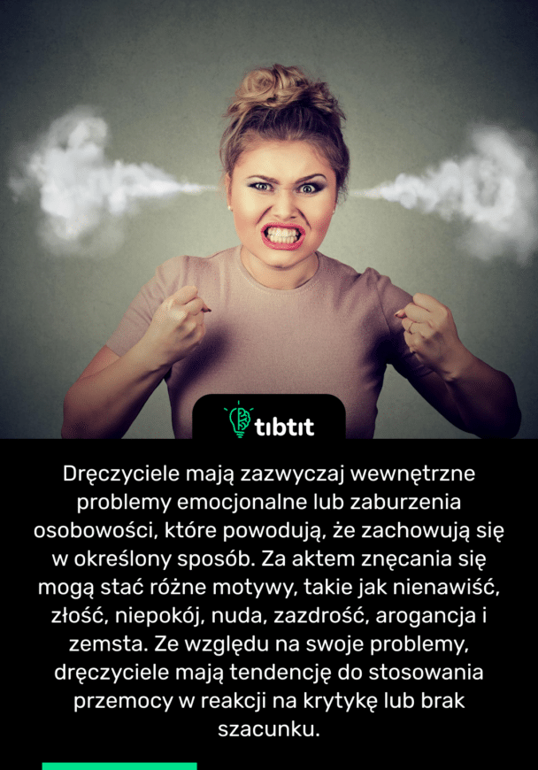 Dręczyciele mają zazwyczaj wewnętrzne problemy emocjonalne lub zaburzenia osobowości, które powodują, że zachowują się w określony sposób. Za aktem znęcania się mogą stać różne motywy, takie jak nienawiść, złość, niepokój, nuda, zazdrość, arogancja i zemsta. Ze względu na swoje problemy, dręczyciele mają tendencję do stosowania przemocy w reakcji na krytykę lub brak szacunku