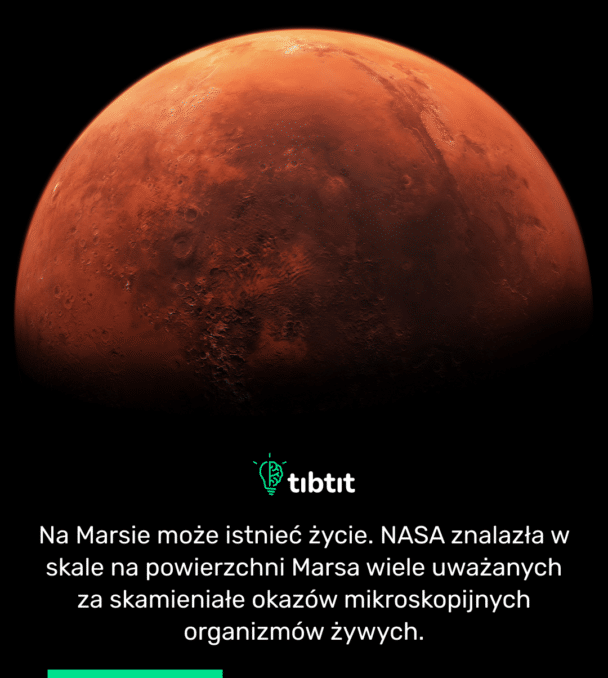 Na Marsie może istnieć życie. NASA znalazła w skale na powierzchni Marsa wiele uważanych za skamieniałe okazów mikroskopijnych organizmów żywych.