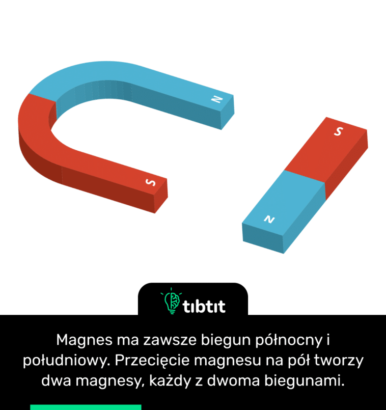 Magnes ma zawsze biegun północny i południowy. Przecięcie magnesu na pół tworzy dwa magnesy, każdy z dwoma biegunami.