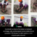 Dystrykt w stanie Pendżab w Indiach wymaga, aby potencjalni właściciele broni posadzili 10 drzew i zrobili sobie z nimi zdjęcia jako dowód