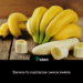 Banany to najstarsze owoce świata