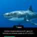 Liczba niesprowokowanych ugryzień rekinów na świecie spada do 57 w 2022 r.