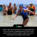 W 2014 roku Diana Nyad jako pierwsza przepłynęła z Kuby na Florydę. Przepłynęła ponad 167 km wody pełne meduz i rekinów. Zajęło jej około 53 godzin. Kiedy dokonywała tego, miała 64 lata